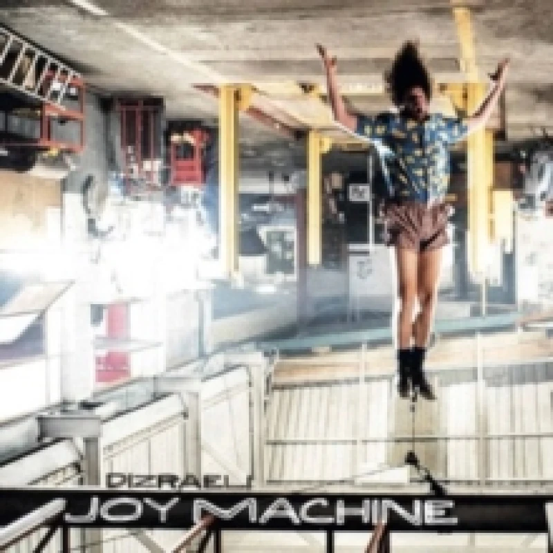 Image of Joy Machine Vinyl