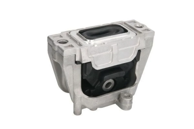 Image of REINHOCH Mounting, manual transmission REINHOCH RH11-0106