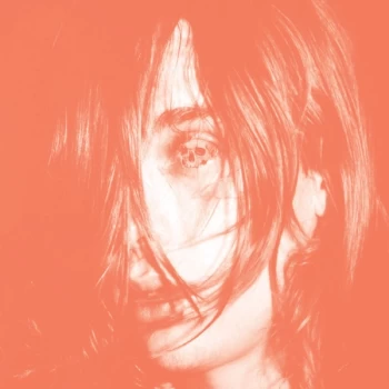 Image of Deerhunter - Microcastle / Weird Era Continued Vinyl