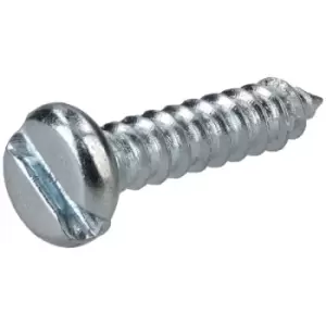 image of R-TECH 337099 Slotted Pan Head Self-Tapping Screws No. 4 13.0mm - P...