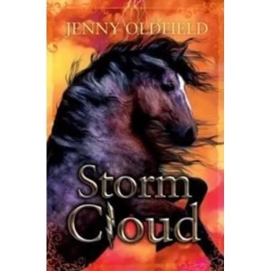 Image of Storm Cloud