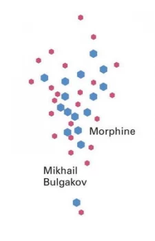 Image of Morphine by Mikhail Afanase Bulgakov Paperback