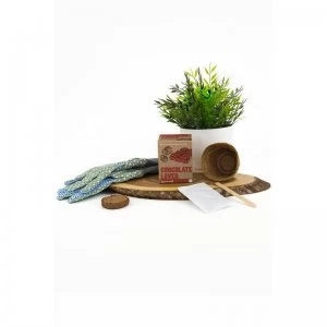 Image of Grow Your Own Chocolate Flowers