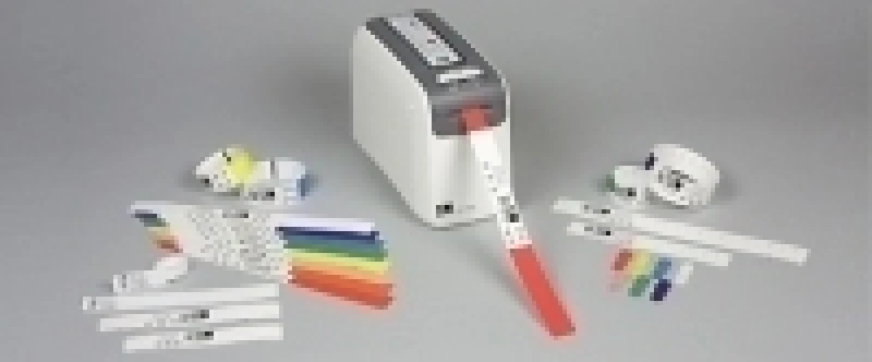 Image of Zebra Z-Band Direct Pink