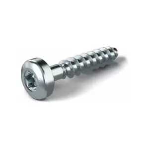 Image of Fibox PT60x11 PH3 BAG (4) set Screws