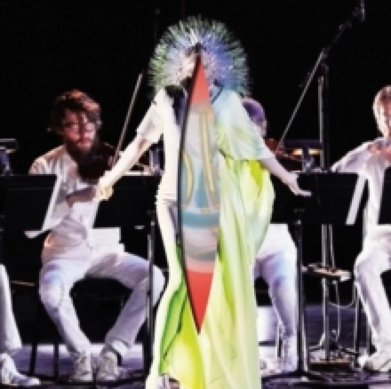 Image of Vulnicura Strings Vinyl