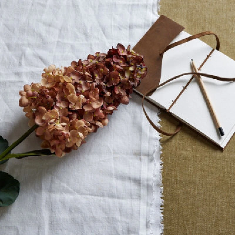 Image of Burgundy Spear Hydrangea