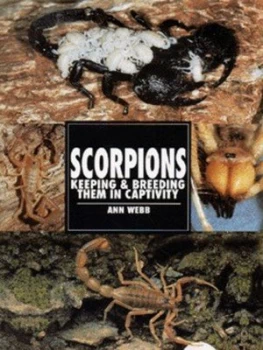 Image of Scorpions by Ann Webb Paperback