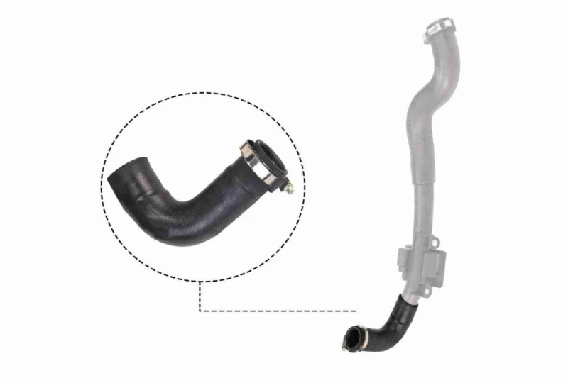 Image of Charger intake hose VAICO V46-0828