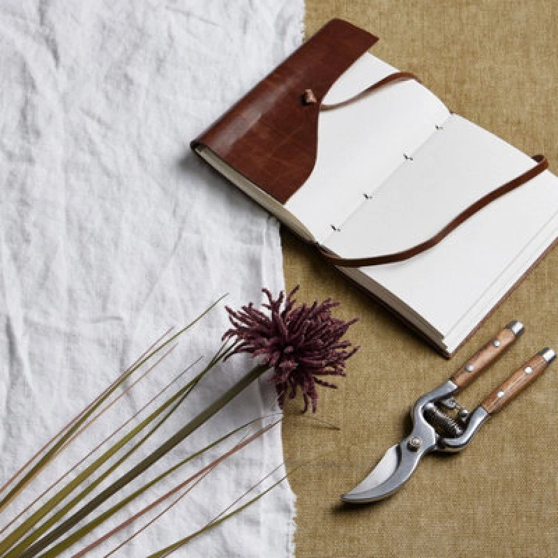 Image of Burgundy Aster Spider Chrysanthemum Stem