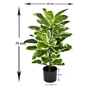 Image of Greenbrokers Artificial Rubber Plant In Pot 75Cm/2ft