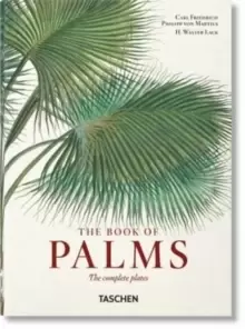 Image of Martius. The Book of Palms. 40th Ed.