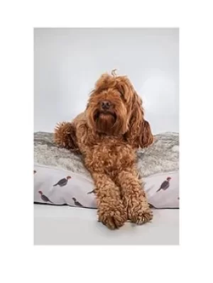 Image of Rosewood Phesant Print Pet Mattress