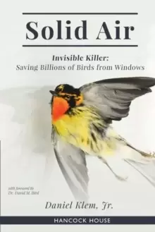 Image of Solid Air : Invisible Killer- Saving Birds from Windows