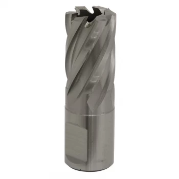Image of Rotabor Cutter HSS 19MM - Cut Depth 25MM
