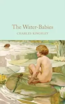Image of The Water-Babies : A Fairy Tale for a Land-Baby