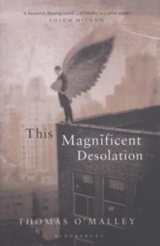 Image of This Magnificent Desolation by Thomas O Malley Hardback