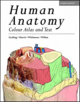 Image of Human Anatomy by John a Gosling Paperback