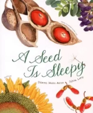 Image of seed is sleepy