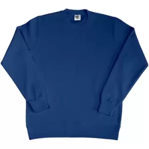 image of SG Ladies/Womens Crew Neck Long Sleeve Sweatshirt (S) (Navy Blue)