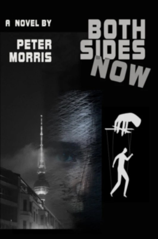 Image of Both Sides Now Paperback / softback
