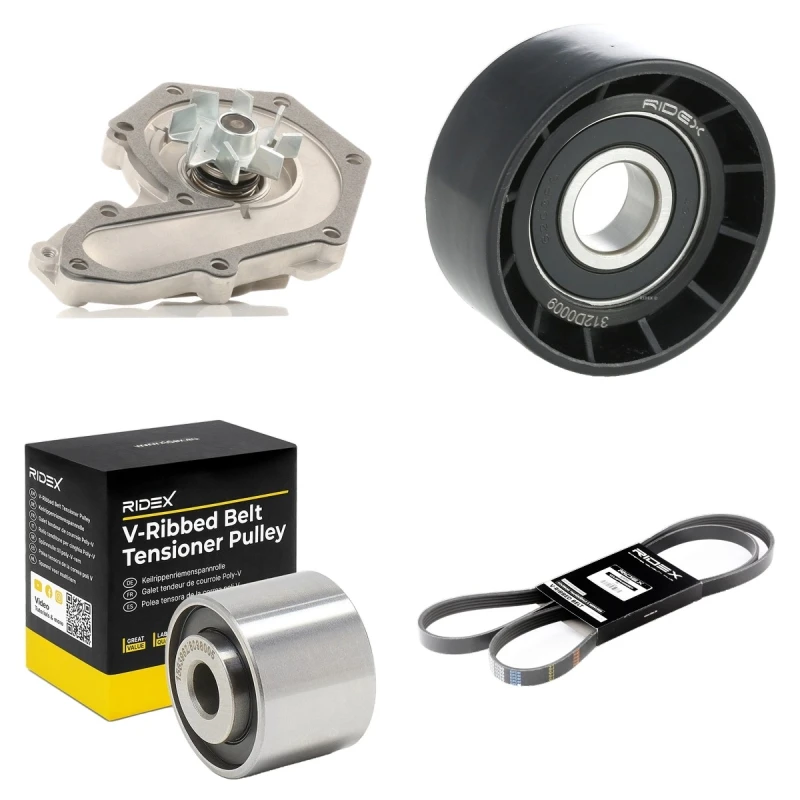 Image of RIDEX 4172P0098 Water Pump + V-Ribbed Belt Kit Water Pump + V-Ribbed Belt Kit (4172)