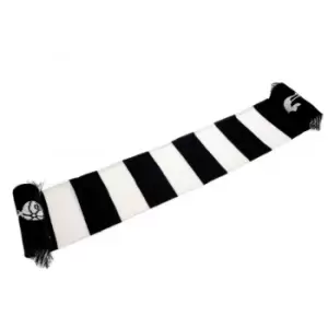 Tottenham Hotspur FC Bar Scarf (One Size) (Blue/White)