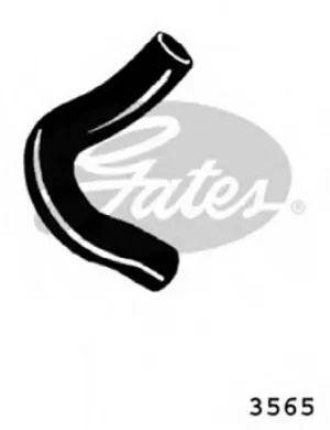 Image of Curved Radiator Hose 185mm X 31 Gates 3565