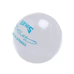 image of Gunn And Moore And Moore BS55 All Weather Cricket Ball Junior Boys - White