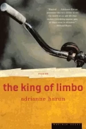 Image of king of limbo stories