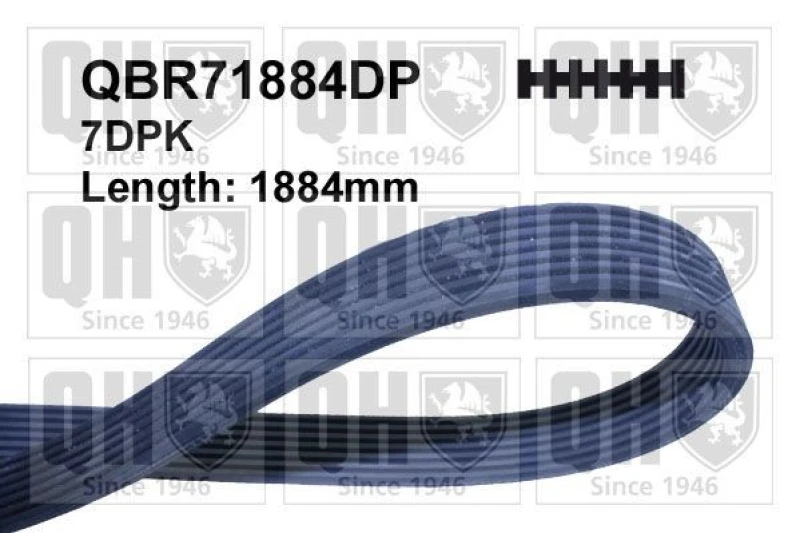 Image of QUINTON HAZELL Serpentine belt QUINTON HAZELL QBR71884DP