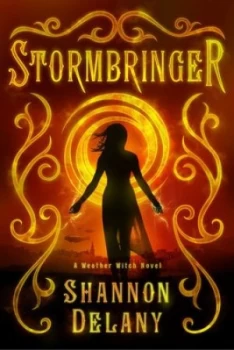Image of Stormbringer by Shannon Delany Paperback