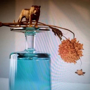 Image of Beirut - Gallipoli Vinyl
