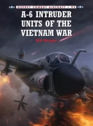 Image of A-6 Intruder units of the Vietnam War by Rick Morgan