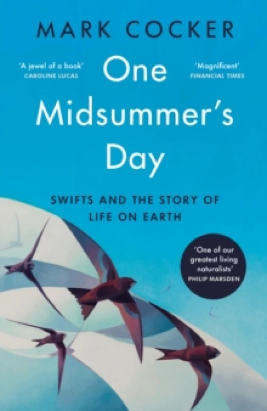 Image of One Midsummer's Day : Swifts and the Story of Life on Earth Paperback / softback