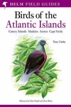 Image of Field Guide to the Birds of the Atlantic Islands by Tony Clarke Paperback