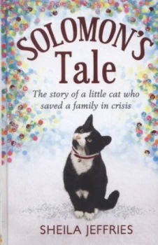 Image of Solomons Tale by Sheila Jeffries Hardback