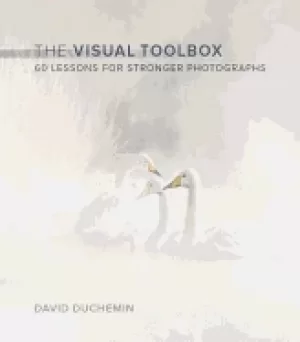 Image of visual toolbox 60 lessons for stronger photographs