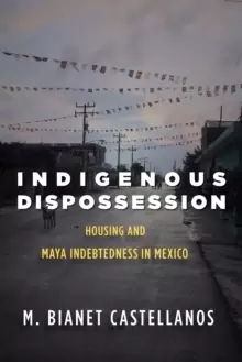 Image of Indigenous Dispossession : Housing and Maya Indebtedness in Mexico