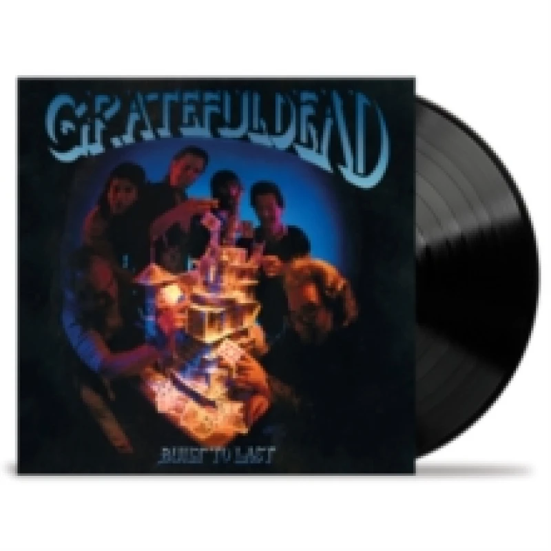 Image of Built to Last Vinyl