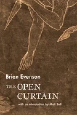 Image of open curtain