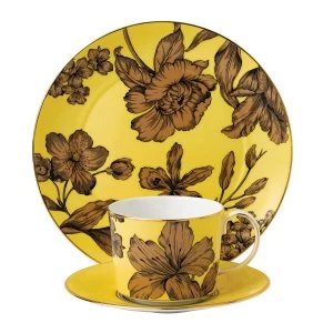 image of Wedgwood Vibrance 3 piece set Yellow