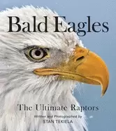Image of bald eagles the ultimate raptors