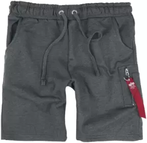 image of Alpha Industries X-FIT CARGO Shorts grey