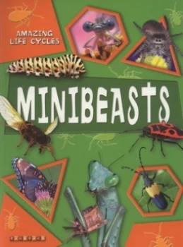 Image of Minibeasts by George Mcgavin Book
