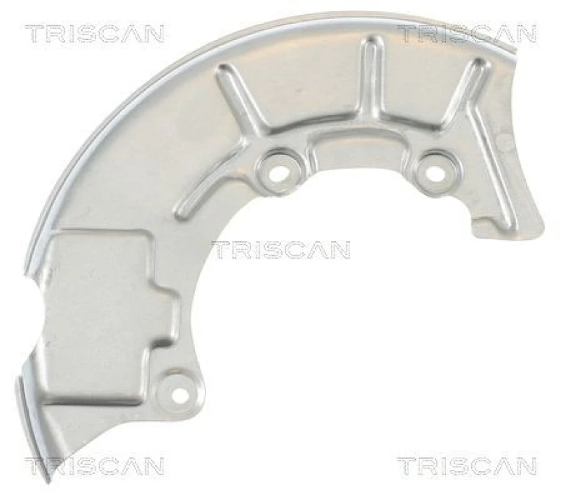 Image of TRISCAN Brake disc backing plate TRISCAN 8125 29108