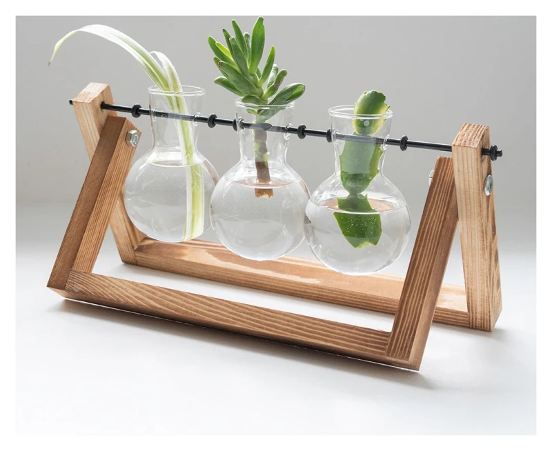 Image of Winning Glass Propagation Vases