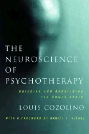 Image of neuroscience of psychotherapy building and rebuilding the human brain