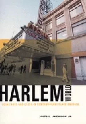 Image of harlemworld doing race and class in contemporary Black america