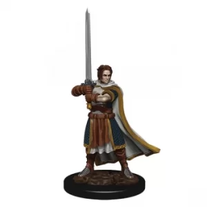 Image of D&D Icons of the Realms Premium Figures (W4) Human Cleric Male